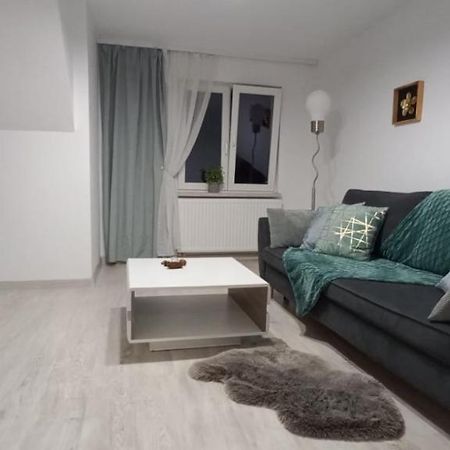 City View Kanonierska - Przy Parku Blisko Centrum Świdnica Exterior foto